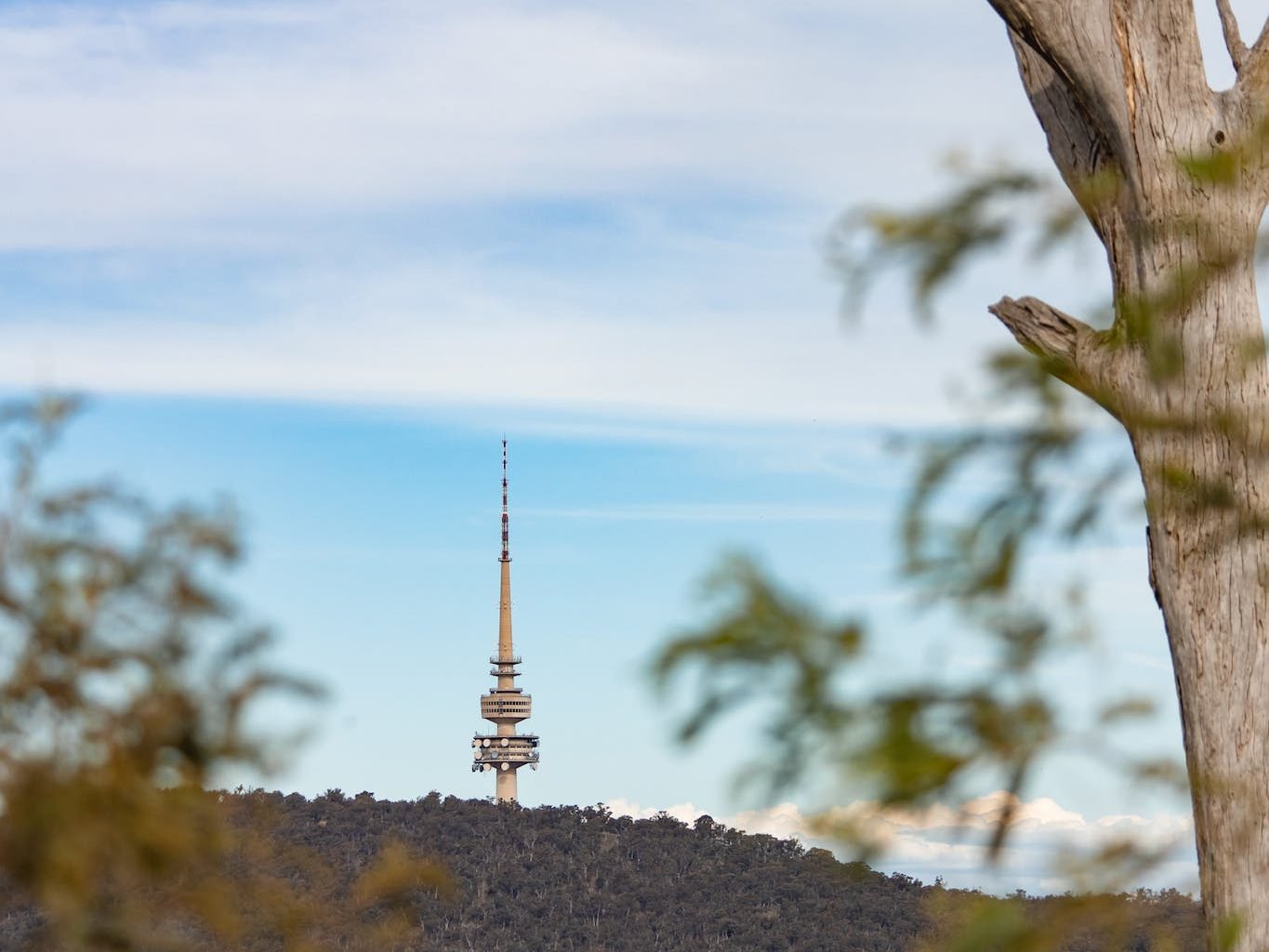 Discover the Perfect Date Ideas in Picturesque Canberra, Australia